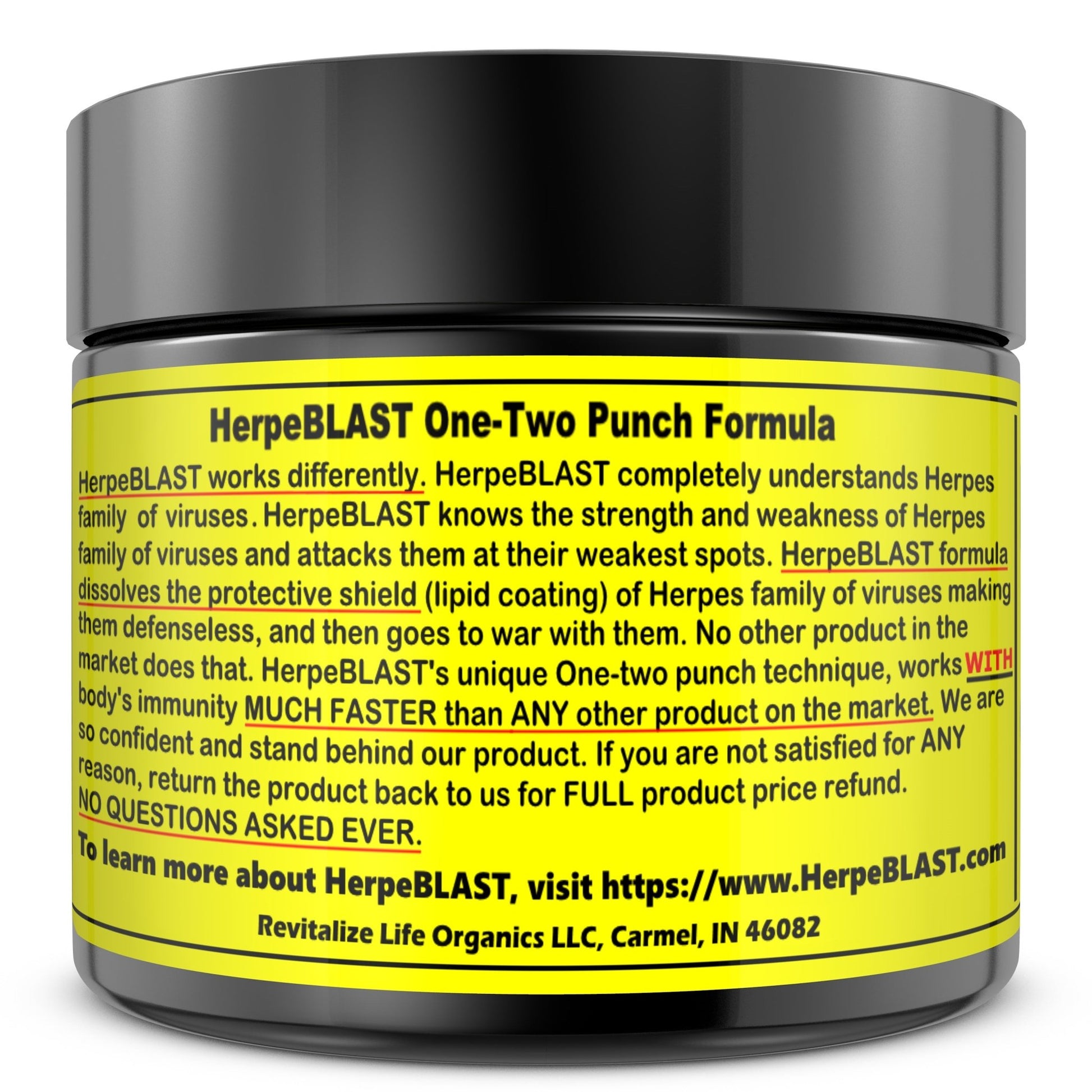 HerpeBLAST - All Natural Powerful Relief Solution for Herpes HSV1 HSV2 Fast Relief - Reclaim Your Life Today! - Revitalize Life Organics -